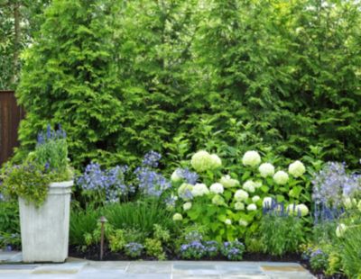 Botanical Decorators