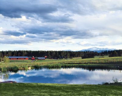 Landscape