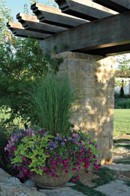 Designscapes Colorado