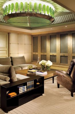 Media Rooms