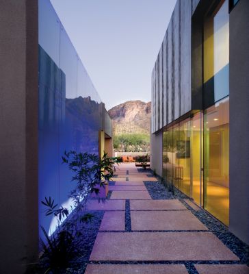 Rear Elevations