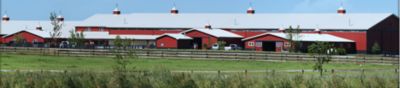 The Big Red Barn at Grand Prix Equestrian