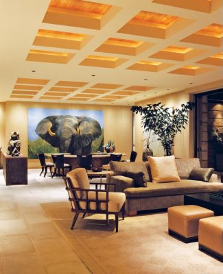 Media Rooms