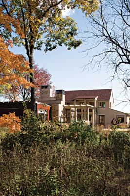 Rear Elevations