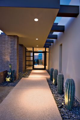 Glass & Doors