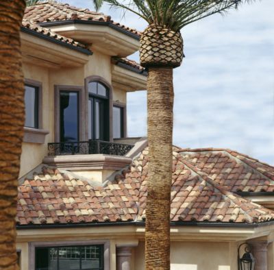 Front Elevations