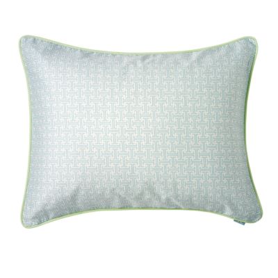 Aqua Trellis Standard Sham
