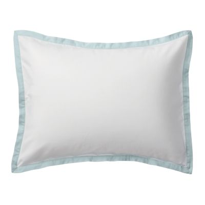 Aqua Border Frame Sham