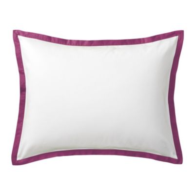 Berry Border Frame Sham