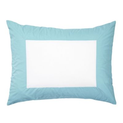 Aqua Color Frame Standard Sham