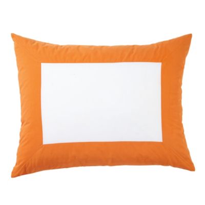 Cantaloupe Color Frame Standard Sham
