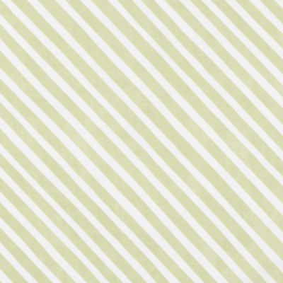 Sprout Candy Stripe Crib Skirt Swatch