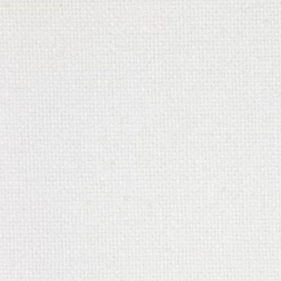 White Canvas - Swatch