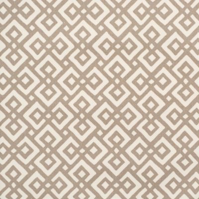 Bone Lattice Fabric