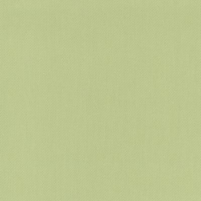 Sprout Twill