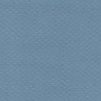 Indigo Cotton Duck (Upholstery Weight)