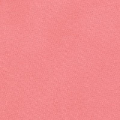 Pink Punch Cotton