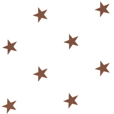 Chocolate Star