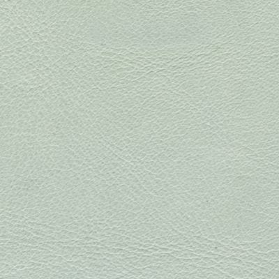 Cloud Leather - Swatch