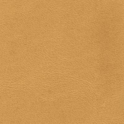 Honey Leather - Swatch