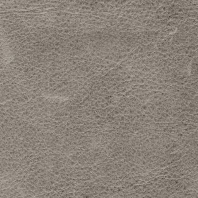 Pewter Leather - Swatch