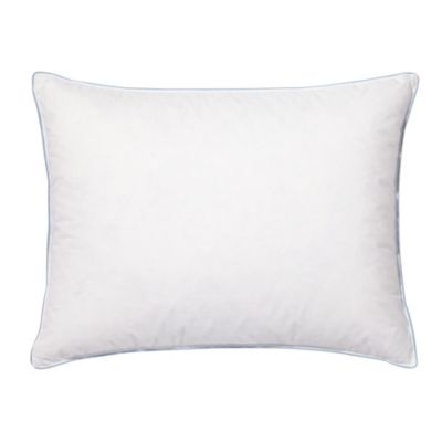 Standard Down Pillow Insert