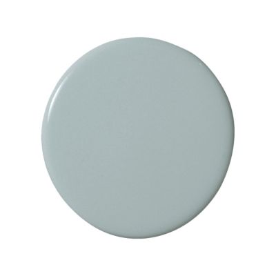 Gull Wall Paint - Dry Sample
