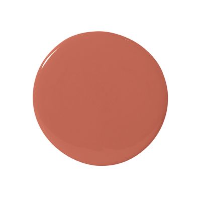 Weathered Coral Wall Paint - Dry Sample