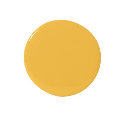 Dandelion Wall Paint - Dry Sample