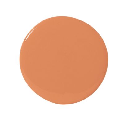Persimmon Wall Paint - Dry Sample