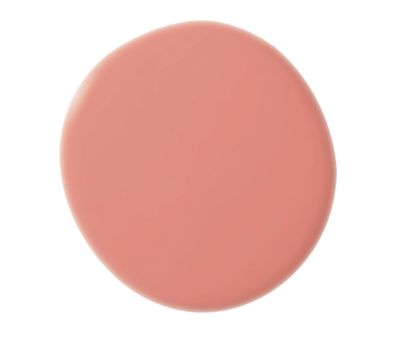 Punch Wall Paint - Dry Sample