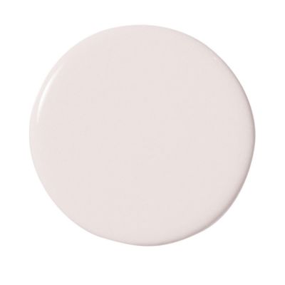 Shell Wall Paint - Dry Sample
