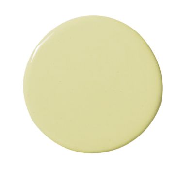 Sprout Wall Paint - Dry Sample