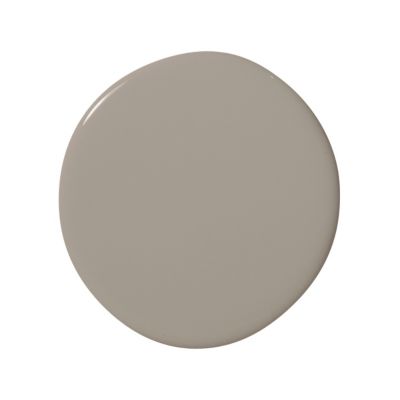 Mushroom Wall Paint - Wet Sample