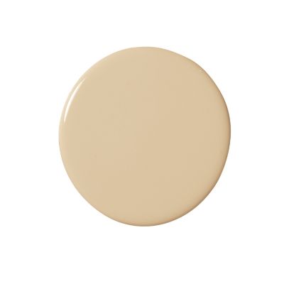 Dune Wall Paint - Wet Sample