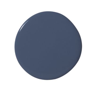 Navy Wall Paint - Wet Sample