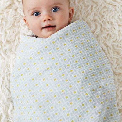 Aden + Anais Blankets