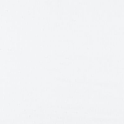 Sheer White Swiss Dot Window Panel Swatch