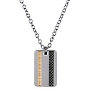 Stainless Steel, Carbon Fiber, and 18k Yellow Gold Dog Tag Necklace (20)