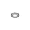 Brushed Titanium Ring (6mm)