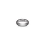 Brushed Titanium Ring (6mm)