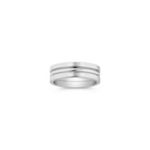 Titanium Wedding Band (7mm)