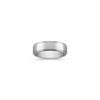 Polished Titanium Ring (7mm)
