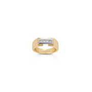 3/8 ct. t.w. Princess Cut Diamond Ring in Two-Tone Gold