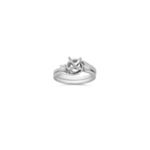 Round Diamond Wedding Set