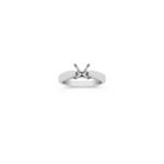 Platinum Engagement Ring