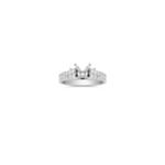 Princess Cut and Diamond Engagement Ring