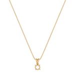 14k Yellow Gold Pendant (18 in.)