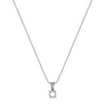 14k White Gold Pendant (18 in.)