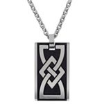 Stainless Steel Necklace (22 in.)
